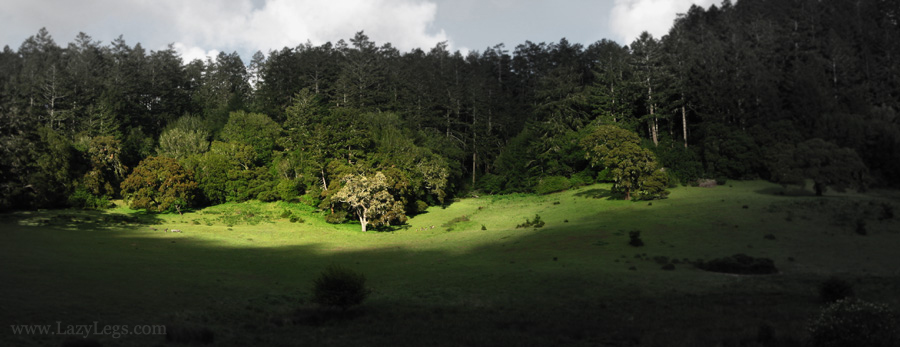 Bear Valley. Marin. Ca.